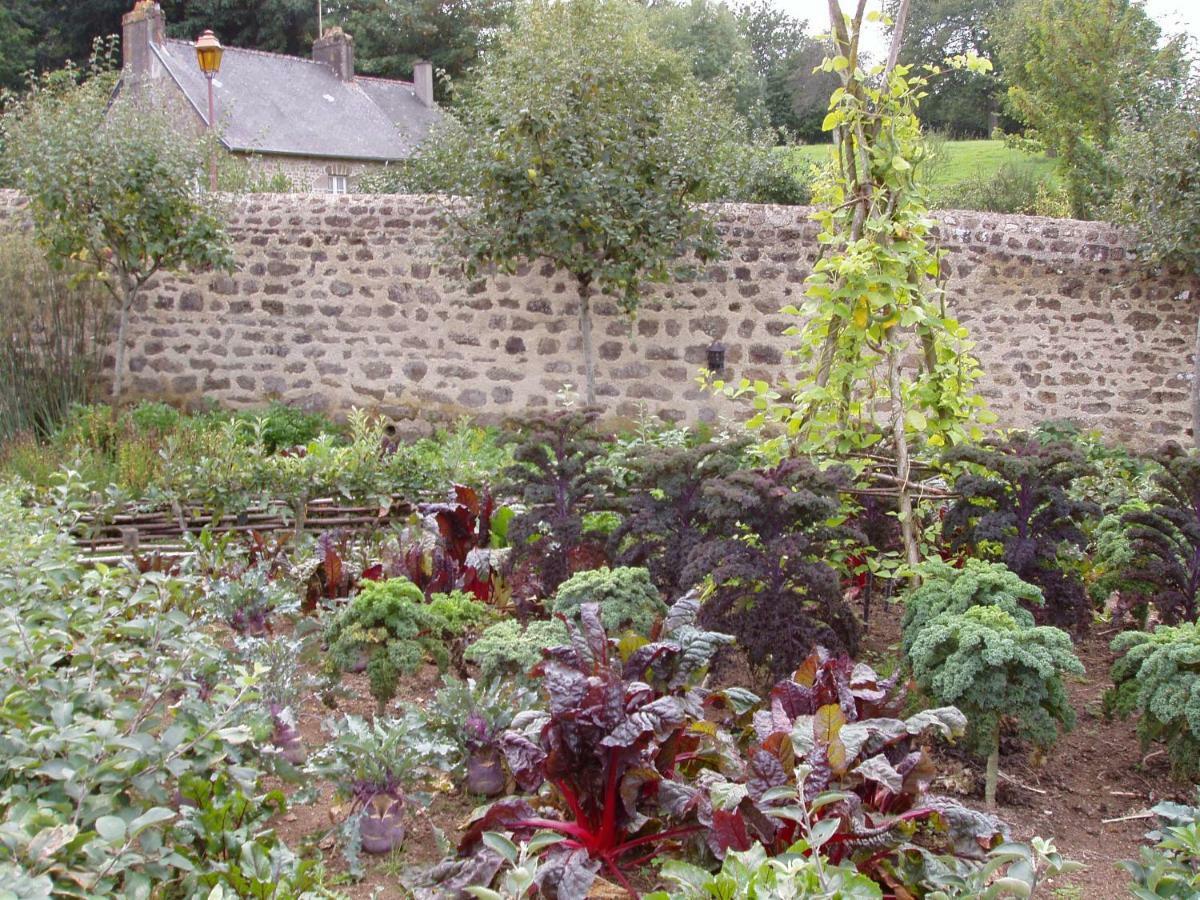 Chambres D'Hotes La Belle Taille Lassay-les-Chateaux Exterior photo